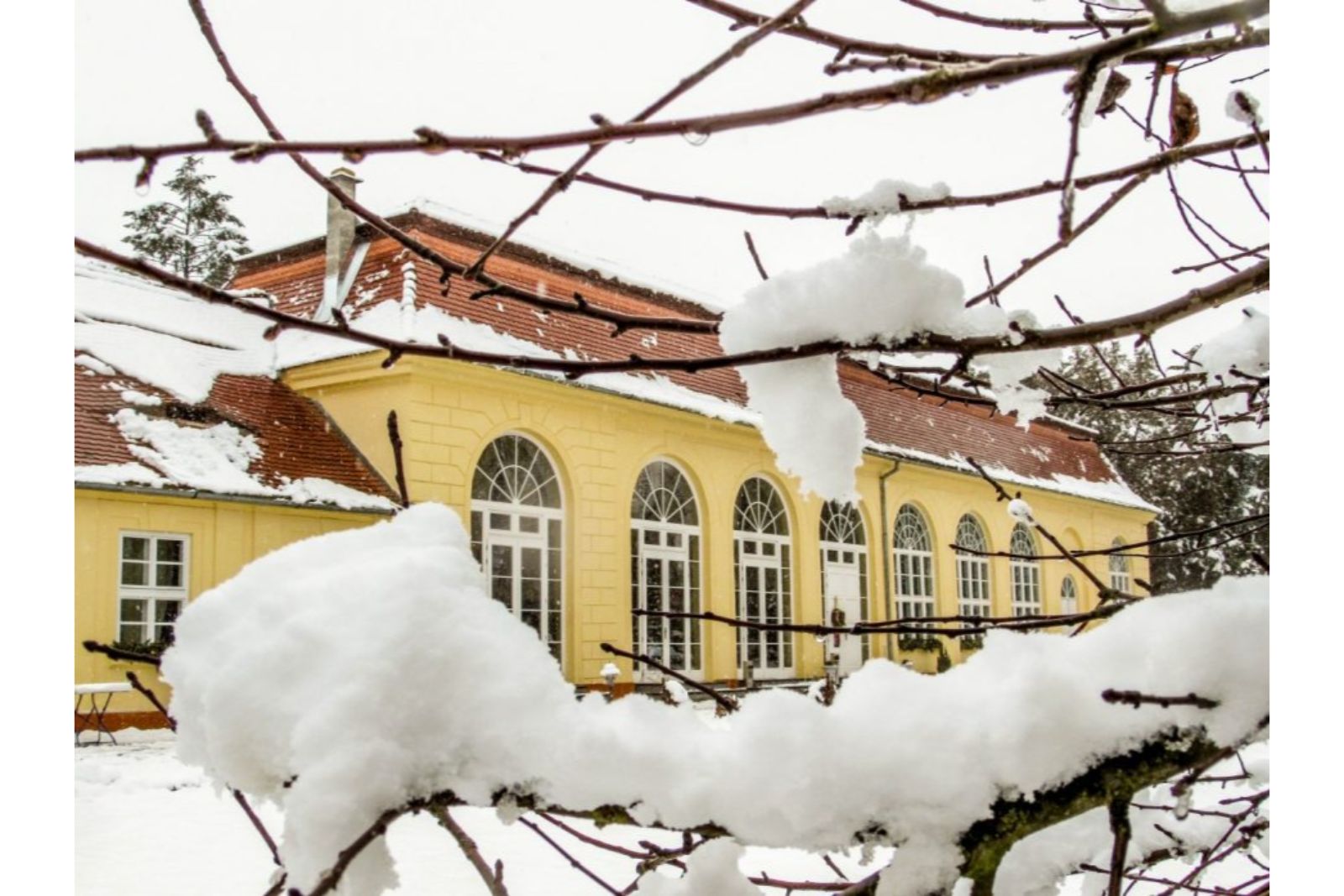 BRUKENTHAL PALACE CAFE